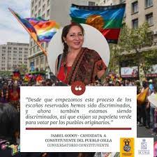 La otra candidata que suena para presidir la convención es la académica mapuche, elisa loncon. Isabel Godoy Candidata A Observatorio Ciudadano Chile Facebook
