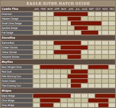 Eagle River Hatch Chart Swittersb Exploring