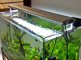 Tebal kaca 3 mm, panjang akuarium 30 cm, lebar akuarium 20 cm, tinggi akuarium 20 cm. Aquascape Ideas Aquascape Tank 50 Cm