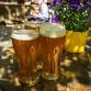 Longmont Oktoberfest