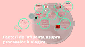 Factori care influenteaza viteza de reactie a enzimelor. Factori De Influenta Asupra Proceselor Biologice By TebeÈ™el Maria Lavinia