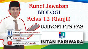 Kunci Jawaban Soal Intan Pariwara Biologi Kelas 12 Tahun 2020