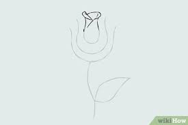 To draw this sunflower step by step, follow along with the video tutorial below and pause the video after each step to go at your own pace. How To Draw A Flower Wikihow