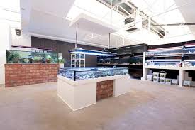 Nzmas View Topic Planning To Open A Marine Fish Store Marine Fish Aquarium Store Fishing Room