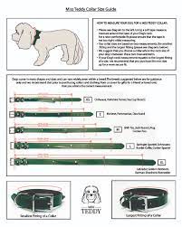Breed examples offer a general guideline only. Dog Size Guide Miss Teddy Luxury Dog Collars Clothes More