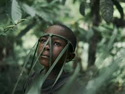 Elliot Graves (@elliot_graves)