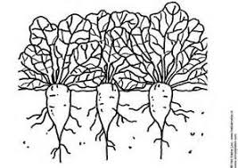 Antique german gold encrusted porcelain bowl, early 1900s vintage floral china serving dish. 21 Farm Coloring Pages Ideas In 2021