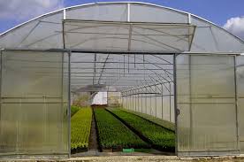Sera Modelleri Sera Urunleri Serasan Tarim Muhendislik Mimarlik Www Serasan Com Tr Serasan Sera Antalya Sera Sera Urunleri Tunnel Greenhouse Serres