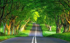 خلفيات طبيعية تجعل شاشة هاتفك في غاية الروعة green nature wallpaper best nature wallpapers nature desktop wallpaper