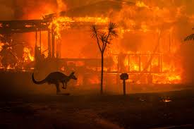 Why The Fires In Australia Are So Bad Published 2020 Bushfires In Australia Australia Forest Fire