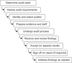 Please note world campus students are not eligible for the penn state student health insurance plan. External Auditing An Overview Sciencedirect Topics