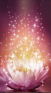 Wallpaper By Artist Unknown Lotus Flower Wallpaper Wallpaper Nature Flowers Beautiful Flowers Wallpapers