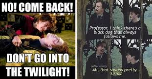Here are the best harry potter memes; Harry Potter Memes Fandom