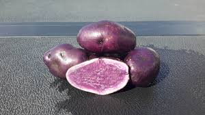 Seed Potatoes Prairie Dome U Pick