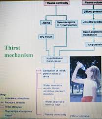 Pin On Fnp Advanced Health Assessment