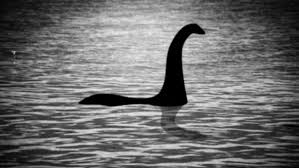 Loch Ness monster 'sighting' as man spots 'part of body' beneath the  surface | UK | News | Express.co.uk