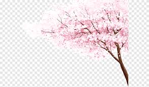 A cherry tree branch with pink cherry blossoms and falling petals. Pink Cherry Tree Pink Cherry Blossoms Png Pngegg