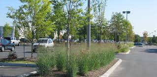 Quincy, ma 02169 pine knoll landscape, inc. Landscape Design Framingham Ma Lowe S Home Centers