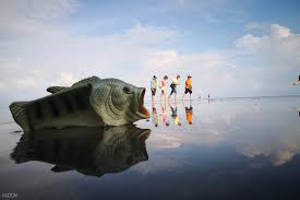 Here are the best places to visit in kuala selangor, including: Up To 30 Off Sky Mirror Sasaran Beach Experience In Kuala Selangor Klook India