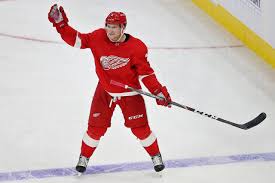Red Wings Stock Report Which Young Players Helped Their
