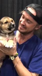 Tom Kissing Dog