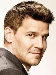 Filmografie von David Boreanaz