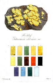 Lichen Color Chart Color Theory Color Colours