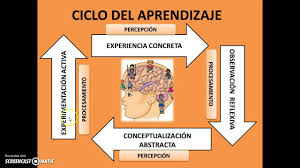 El nombre del ciclo pdca (o ciclo phva) viene de las siglas planificar, hacer, verificar y actuar, en inglés también es conocido como ciclo de mejora continua o círculo de deming, por ser edwards. Ciclo De Aprendizaje De David Kolb Youtube
