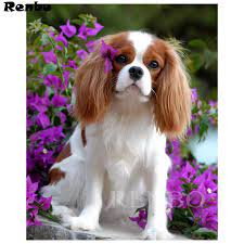 Check spelling or type a new query. 5d Cavalier King Charles Spaniel Diy Paint With Diamonds Paintings Mosaic Pictures By Rhinestones Embroidery Diamond Art Sticker Diamond Painting Cross Stitch Aliexpress