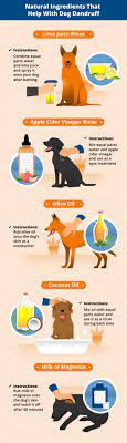 If your dog is uncomfortable or their skin is causing them distress, they'll try to alleviate this by scratching or licking themselves. Dog Dandruff Causes Signs Treatments Canna Pet