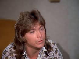 David Cassidy