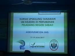 Explore tweets of pertubuhan peladang kawasan jelai @peladangjelai on twitter. Pertubuhan Peladang Kawasan Pitas Peladang Pitas Twitter