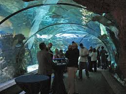 Discoversummer Favorite Family Vacations Omaha Zoo Vacation Memories