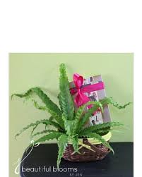 We would like to show you a description here but the site won't allow us. Gift Baskets Delivery Sylvania Oh Beautiful Blooms By Jen