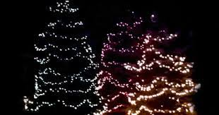 Dancing Trees Photo By Integritystaffing1 Photobucket Christmas Lights Xmas Gif Christmas Light Displays