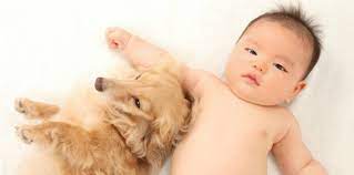 Ketika bayi anda belum cukup matang untuk mengekspresikan kemarahan, frustasi, dan kegembiraan, di usia 5 bulan ia menjadi lebih ekspresif. Perkembangan Bayi 5 Bulan Si Kecil Sudah Bisa Duduk Dan Berguling Lho