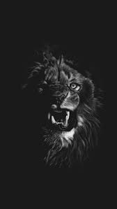 Blue Eyes Lion Iphone Wallpaper Iphone Wallpapers Iphone Wallpapers Lion Wallpaper Iphone Eagle Wallpaper Lion Hd Wallpaper