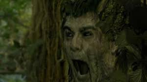 Dead Wood (2007)