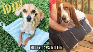How to Make a DIY Messy Paws Mitten for Your Pup - YouTube