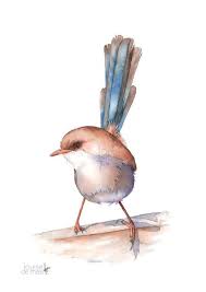 New Index Louise De Masi In 2020 Bird Watercolor Print Watercolor Bird Watercolor