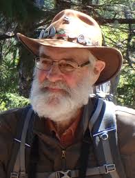 Contributions to the tribute of Michael Downing