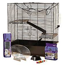 How to train sugar gliders. Rabbit Rat Ferret Cages Petsmart