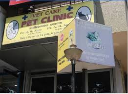 We have been in business for 10 years, offering exceptional care for dogs, cats and small animals.our vet, dr. Vet Care Pet Clinic Top Vets In Pune Epets Vets