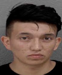 Johan Dominguez Malaver