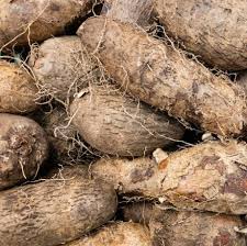 Image result for Sphenostylis