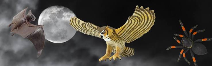 Nocturnal Animals: Discovering Wondrous Creatures That Lurk in the Nig |  Safari Ltd®