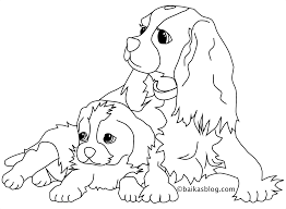 coloriage de chiens coloriages pour enfants fruits carambole