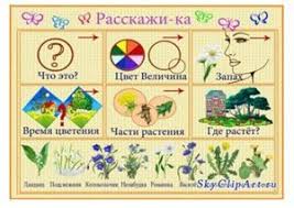 занятия по развитию речи в старшей группе детского сада Mnemotablicy Poisk V Google Doshkolnye Raspechatki Domashnee Obuchenie Detskij Sad