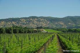 The region is a popular daytrip from the bay area, but it doesn't have just one destination. Incredible San Francisco To Napa Valley Tours Churchill Manor
