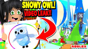 Pet snow owl bedroom ideas adopt me roblox twitter codes. Pet Snow Owl Bedroom Ideas Adopt Me Roblox Pets Images Snow Owl Adopt Me Wiki Fandom Print For Free Coloring Pages Adopt Me Are Cool Images Of Animals From The